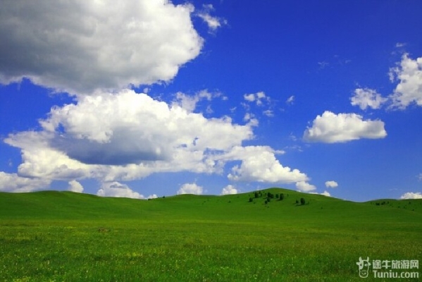 赤峰觀賞魚回收電話地址查詢-第1張圖片