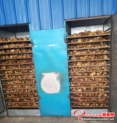 赤峰蘑菇廠家聯(lián)系電話號(hào)碼-第1張圖片