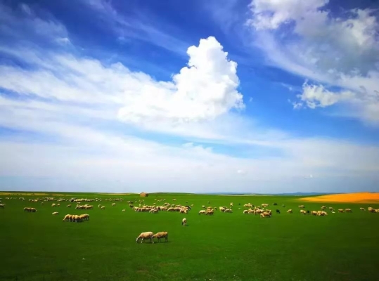 赤峰貢格爾拼車電話號(hào)碼-第1張圖片