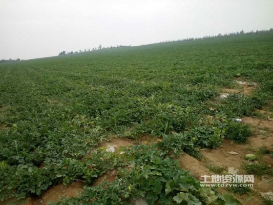 赤峰至敖漢拼車(chē)電話號(hào)碼-第1張圖片