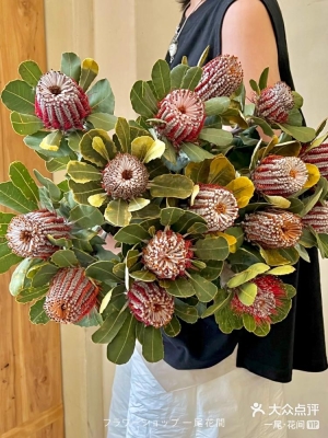 赤峰花間美學(xué)花卉店電話號碼-第1張圖片