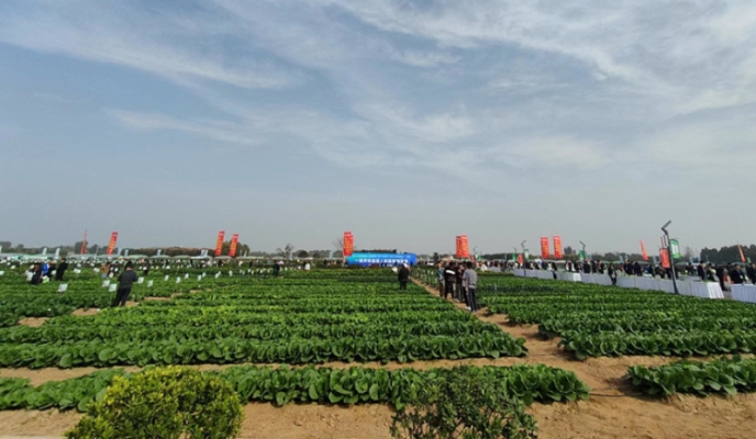 赤峰蔬菜代銷公司地址電話號碼-第1張圖片