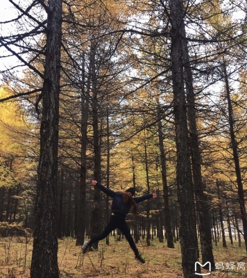 內(nèi)蒙赤峰佳佳物流電話(huà)查詢(xún)地址-第1張圖片