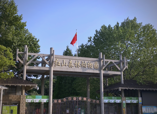 赤峰紅山森林動物園電話號碼-第1張圖片