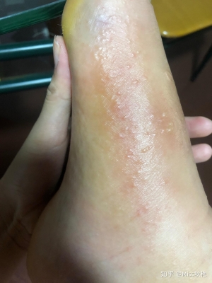 赤峰水泡子轉(zhuǎn)租電話多少號-第1張圖片