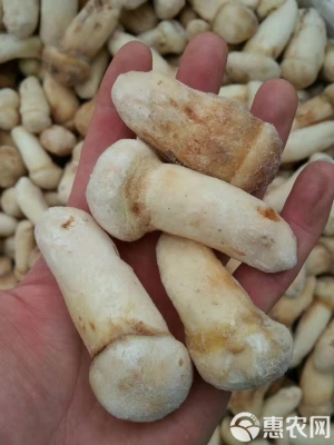 赤峰凍貨批發(fā)商電話號碼-第1張圖片