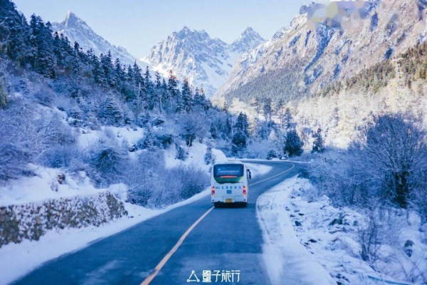 赤峰到猴頭溝的發(fā)車(chē)電話號(hào)碼-第1張圖片