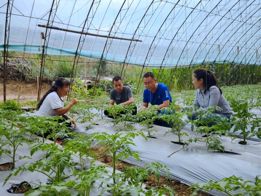 赤峰市農(nóng)監(jiān)局電話號碼-第1張圖片