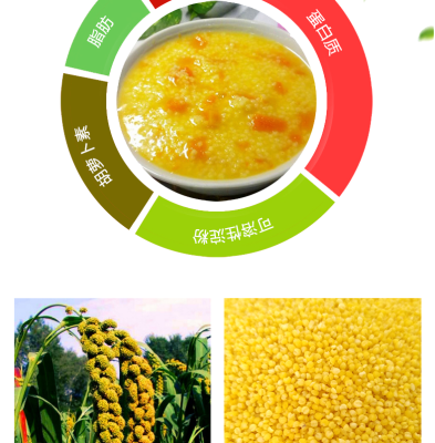 內(nèi)蒙赤峰水果市場(chǎng)電話號(hào)碼-第1張圖片