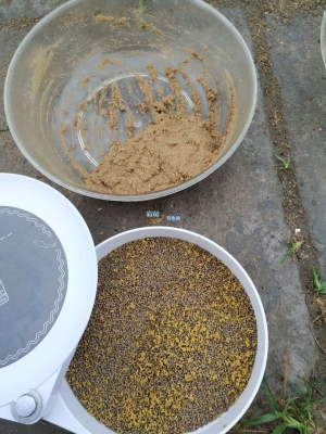 赤峰玉龍魚垂釣園地址電話號(hào)碼-第1張圖片