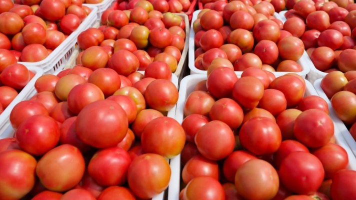 赤峰林西蔬菜代購代銷電話號碼-第1張圖片