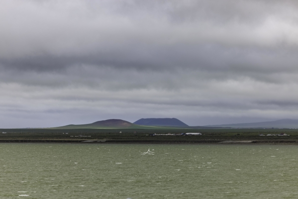 赤峰新城水產(chǎn)店電話號(hào)碼查詢-第1張圖片