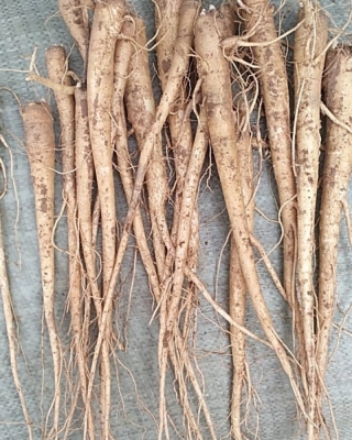 赤峰藥材檢測(cè)公司電話號(hào)碼查詢-第1張圖片