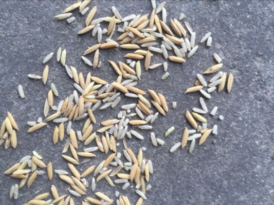 赤峰柚子店鋪地址電話查詢號(hào)碼-第1張圖片