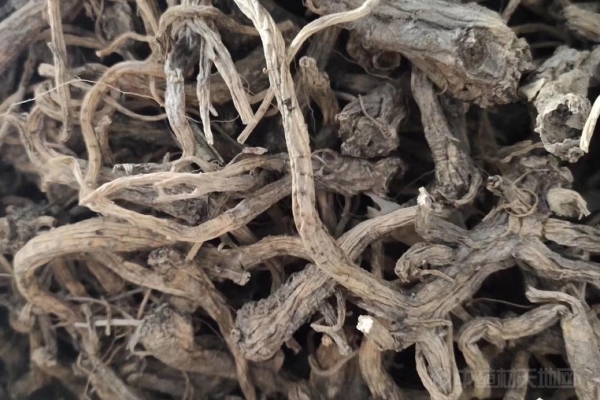 赤峰桔梗生產(chǎn)基地電話號(hào)碼-第1張圖片