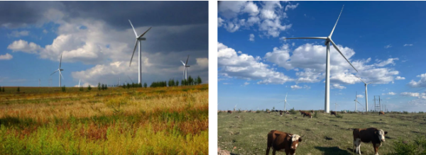 赤峰新能源商超電話地址查詢(xún)-第1張圖片