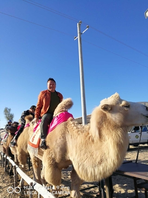 赤峰圍場裝載機(jī)出售電話號(hào)碼-第1張圖片