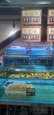 赤峰鑫福隆生鮮超市電話號碼-第1張圖片