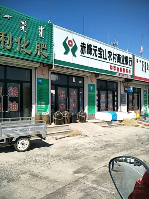 赤峰收羊經(jīng)紀(jì)人電話-第1張圖片