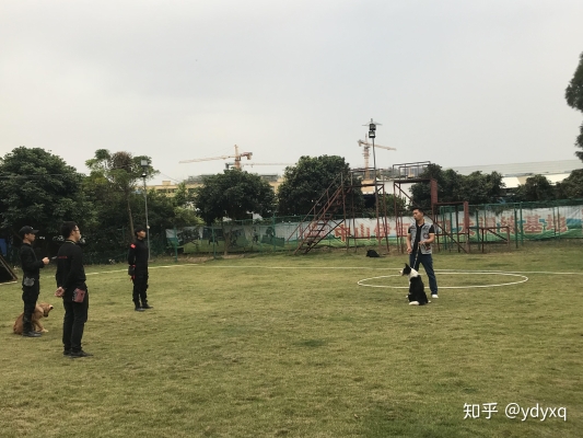 贛州赤峰訓(xùn)犬基地電話號(hào)碼-第1張圖片