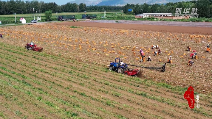 赤峰紙袋加工廠電話地址查詢-第1張圖片
