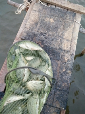 赤峰市釣青魚地點(diǎn)電話是多少-第1張圖片