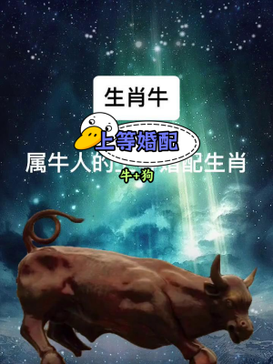 赤峰狗狗婚配公司電話多少號-第1張圖片