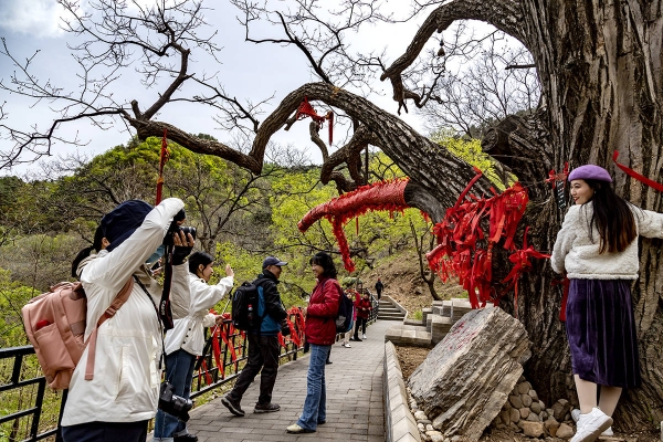 赤峰梨樹(shù)溝中醫(yī)院電話號(hào)碼-第1張圖片