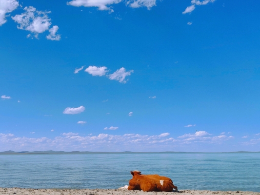 赤峰半日雜貨店電話號碼-第1張圖片