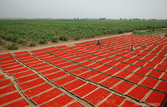 赤峰大地拖拉機銷售電話號碼-第1張圖片