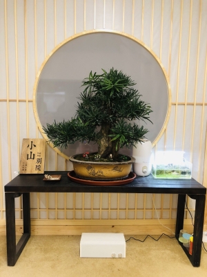 赤峰啟銘按摩院地址電話號(hào)碼-第1張圖片