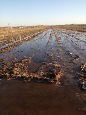 內(nèi)蒙赤峰收廢品電話多少號-第1張圖片