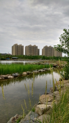 赤峰林東鎮(zhèn)寄賣行電話號碼-第1張圖片