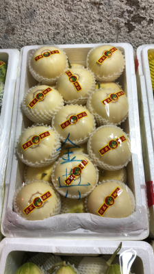 赤峰賣香瓜的電話號(hào)碼是多少-第1張圖片