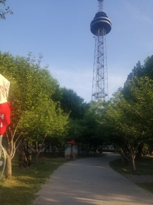 赤峰健身器材商店電話號碼-第1張圖片