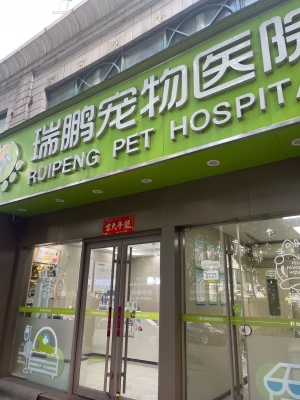 赤峰市寵物店地址-第1張圖片