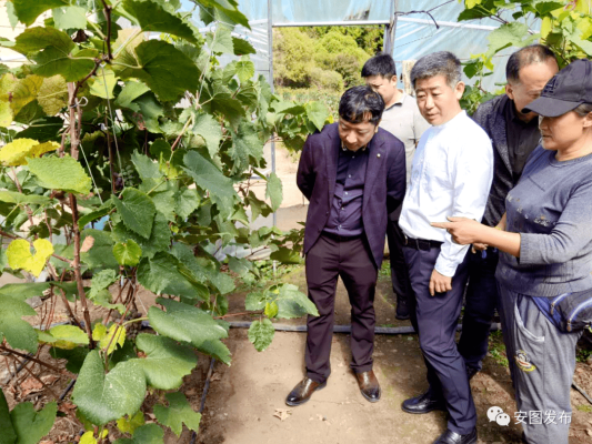 赤峰市張樹軍-第1張圖片