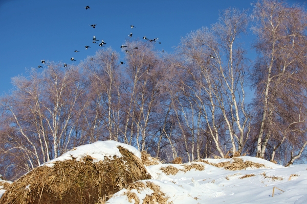 赤峰阿榮攝影師電話號碼-第1張圖片