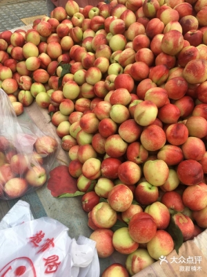 赤峰大兵水果超市電話(huà)地址查詢(xún)-第1張圖片