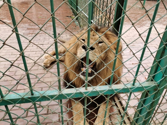 赤峰城南中路社區(qū)電話(huà)號(hào)碼是多少-第1張圖片