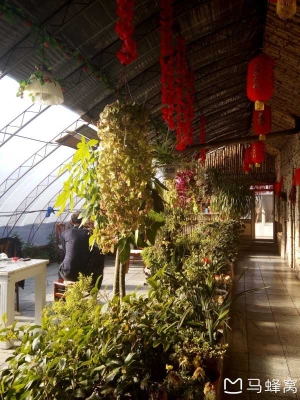 赤峰春峰飯店電話號碼多少-第1張圖片