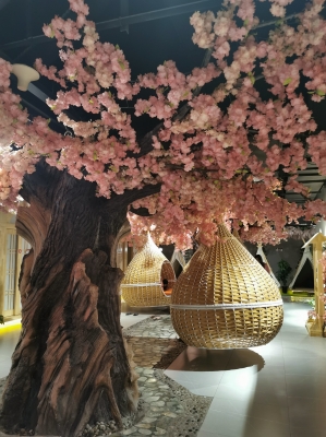 赤峰青春生活館電話地址查詢-第1張圖片