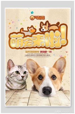 赤峰貓狗寵物店電話號碼-第1張圖片