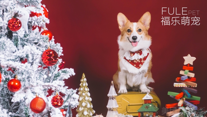 赤峰萌寵燒烤電話地址查詢-第1張圖片