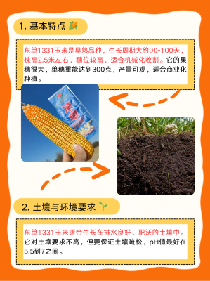 出售赤峰敖漢玉米的電話號碼-第1張圖片