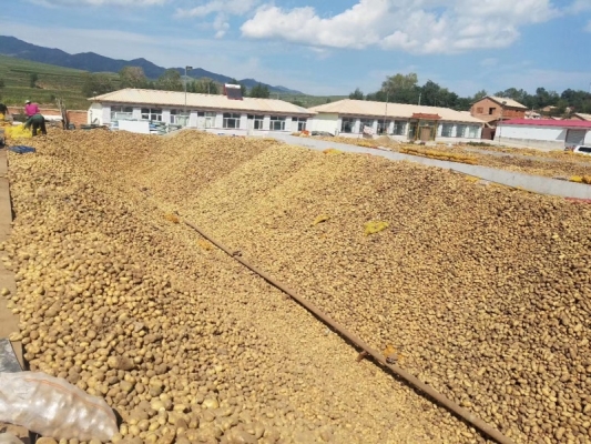 赤峰市動物皮毛收購電話號碼-第1張圖片