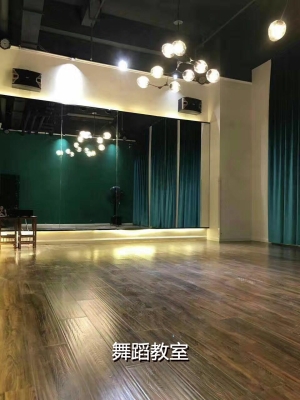 赤峰市少兒舞蹈機構(gòu)電話號碼-第1張圖片