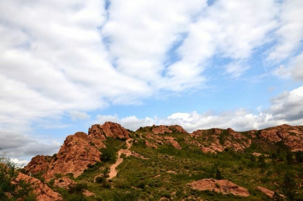 赤峰康圣水產(chǎn)公司電話號(hào)碼-第1張圖片