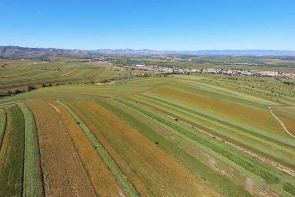 赤峰日?qǐng)?bào)8月26日電話是多少-第1張圖片