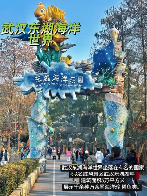 赤峰夢(mèng)幻海洋樂(lè)園電話多少號(hào)-第1張圖片